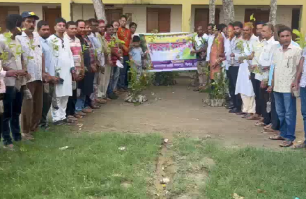 Tree Plantation